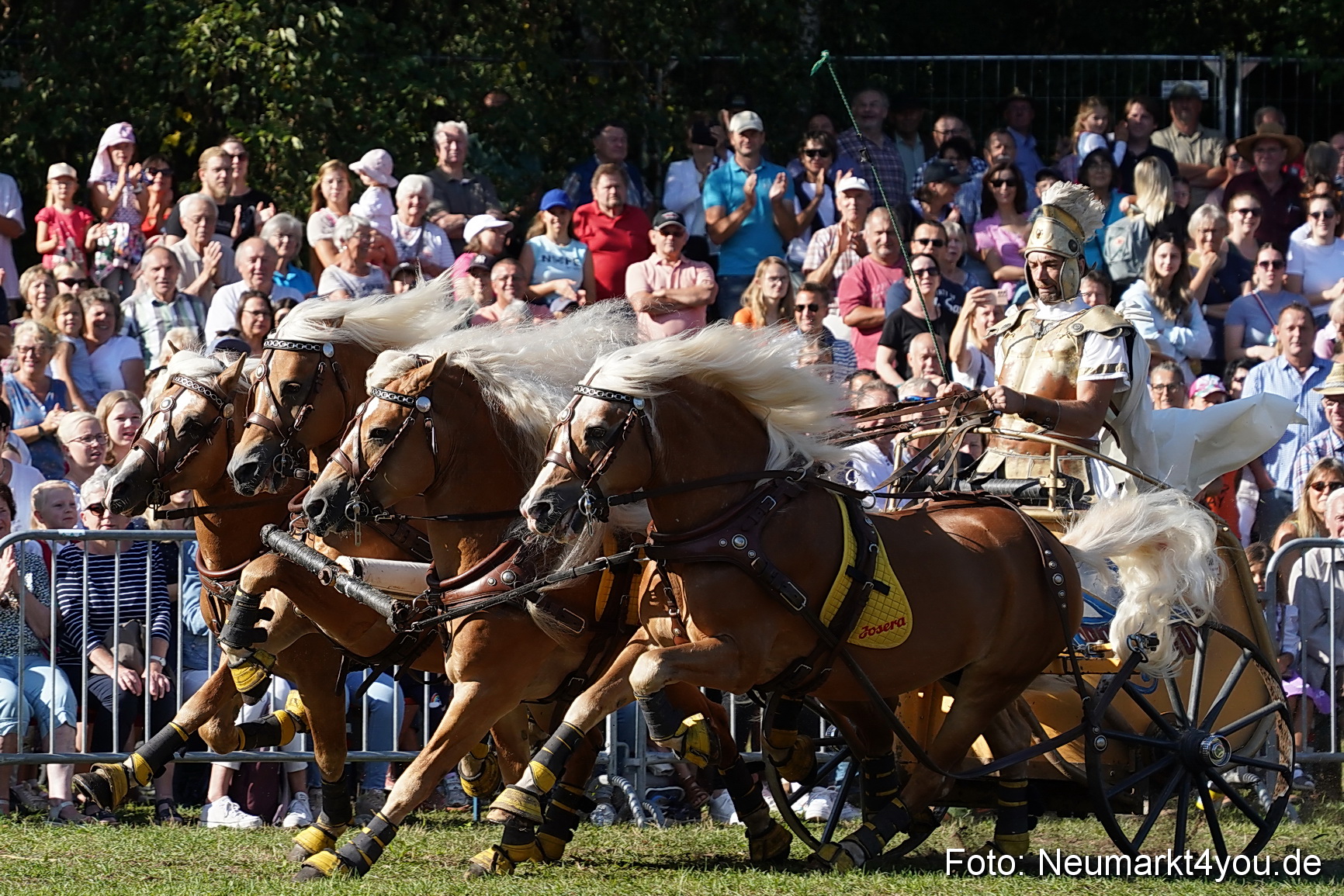 Pferde und Fohlenschau 2022 0030 